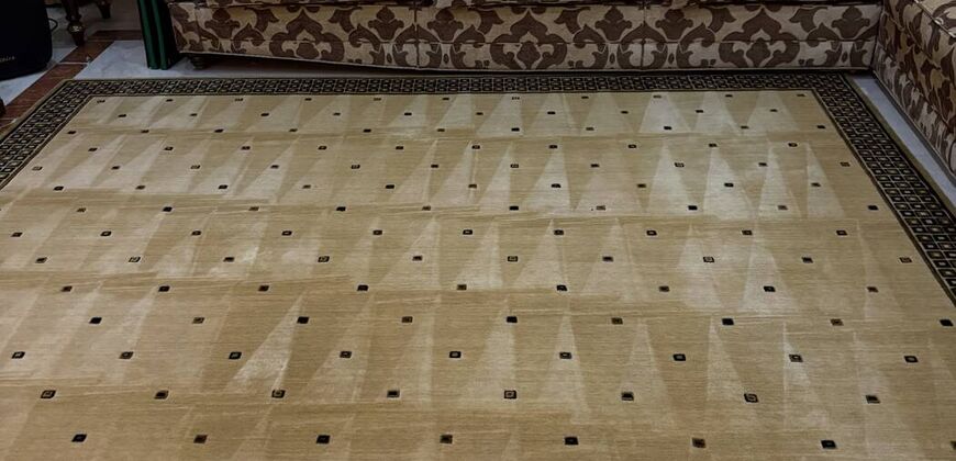 Patterned area rug in a living room after cleaning