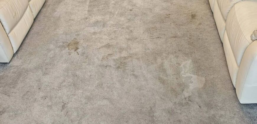 Grey carpet with visible spots and traffic soiling before treatment