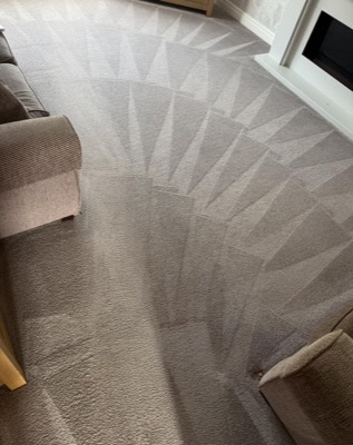 Detailed carpet cleaning work