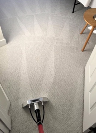Clean carpet in an Oahu home