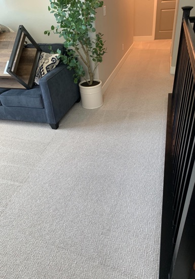 Residential Carpet Refresh carpet cleaning, photo 3