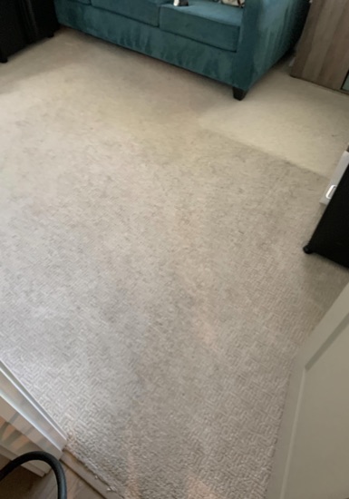 Residential Carpet Refresh carpet cleaning, photo 9