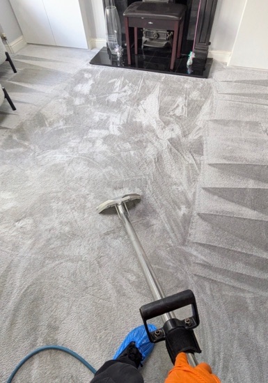 Multi-Room Carpet Refresh carpet cleaning, photo 10