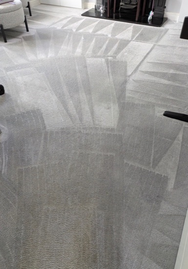 Multi-Room Carpet Refresh carpet cleaning, photo 5