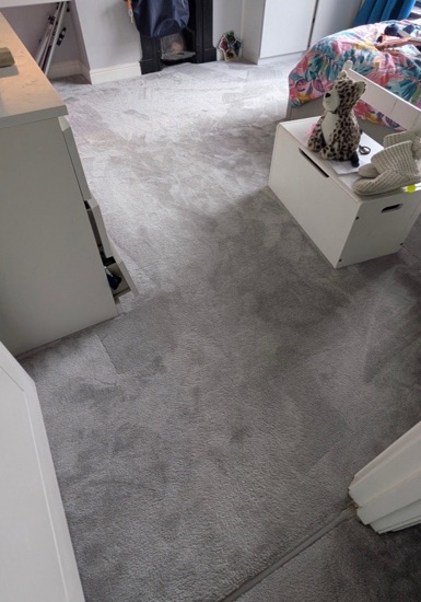 Multi-Room Carpet Refresh carpet cleaning, photo 9