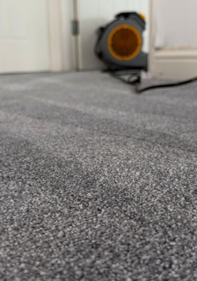 Deep-Clean & Drying Detail carpet cleaning, photo 1