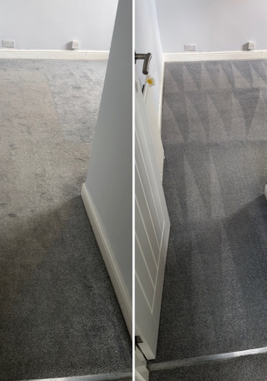 Deep-Clean & Drying Detail carpet cleaning, photo 3