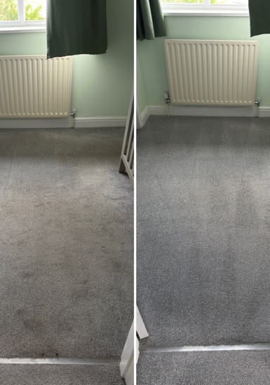 Deep-Clean & Drying Detail carpet cleaning, photo 5