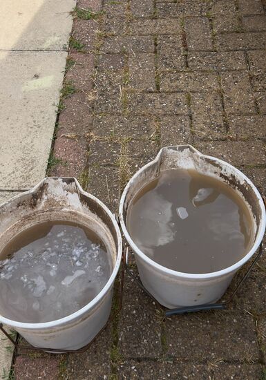 Deep-Clean & Drying Detail carpet cleaning, photo 7