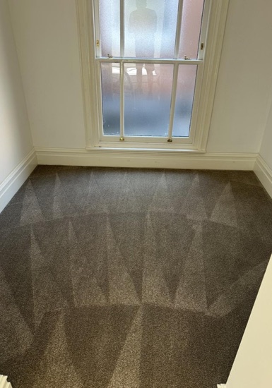 Move-Out Carpet Care carpet cleaning, photo 1