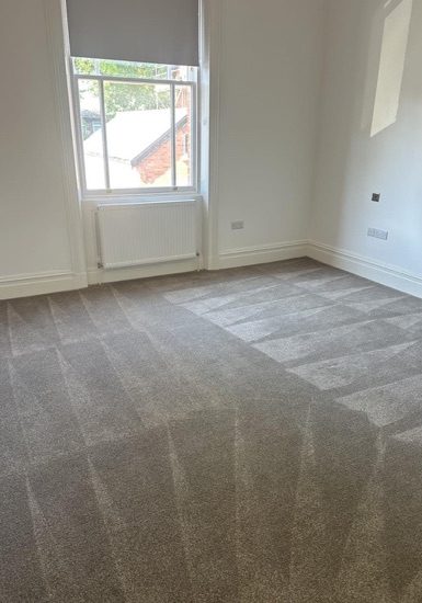 Move-Out Carpet Care carpet cleaning, photo 2