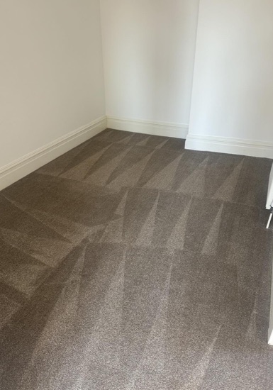 Move-Out Carpet Care carpet cleaning, photo 5