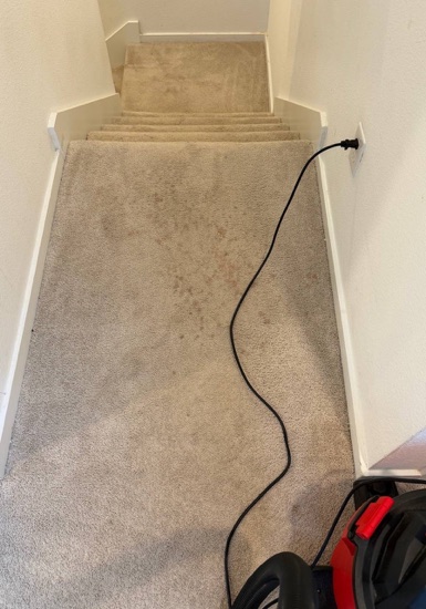 Whole-Room Carpet Cleaning carpet cleaning, photo 1