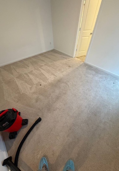 Whole-Room Carpet Cleaning carpet cleaning, photo 2