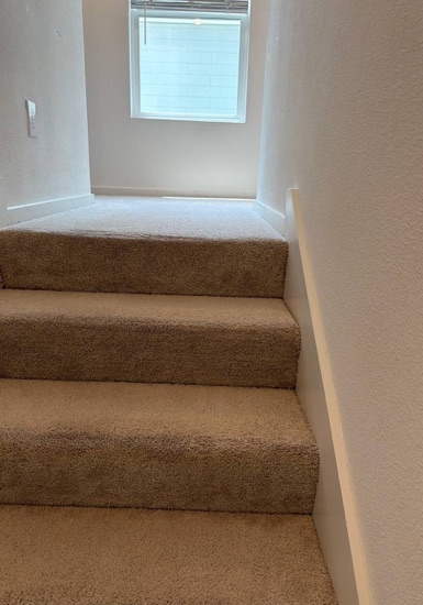 Whole-Room Carpet Cleaning carpet cleaning, photo 5