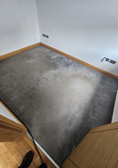 Residential Fiber Refresh carpet cleaning, photo 1