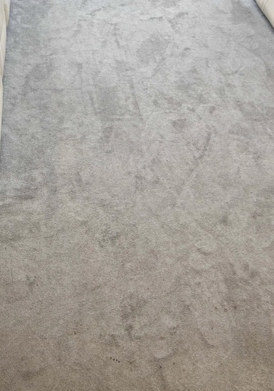 High-Traffic Carpet Reset carpet cleaning, photo 1