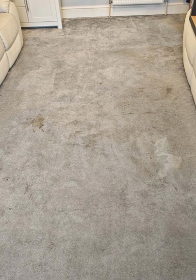 High-Traffic Carpet Reset carpet cleaning, photo 4