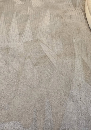 High-Traffic Carpet Reset carpet cleaning, photo 5