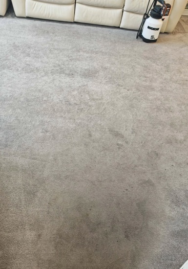 High-Traffic Carpet Reset carpet cleaning, photo 6