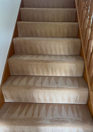 Detailed Home Carpet Care carpet cleaning, photo 3