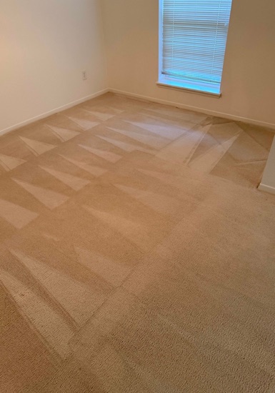 Fresh-Finish Carpet Cleaning carpet cleaning, photo 1