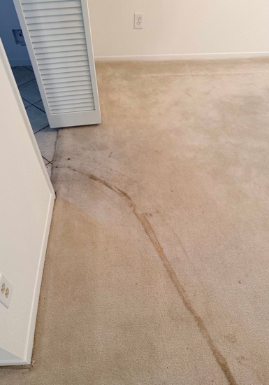 Fresh-Finish Carpet Cleaning carpet cleaning, photo 3