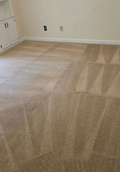Rental Turnover Carpet Care carpet cleaning, photo 3