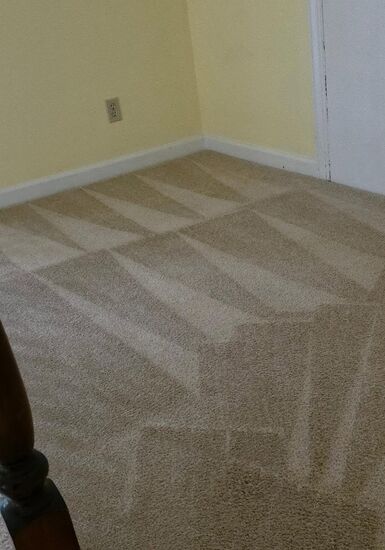 Rental Turnover Carpet Care carpet cleaning, photo 5