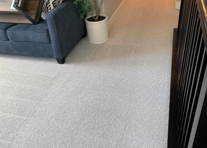Residential Carpet Refresh carpet cleaning, photo 3