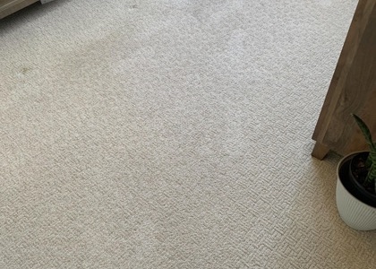 Residential Carpet Refresh carpet cleaning, photo 4