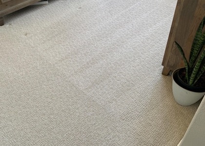 Residential Carpet Refresh carpet cleaning, photo 5