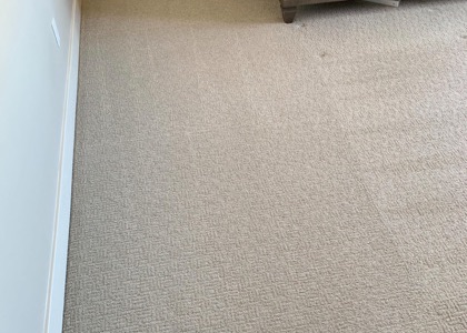 Residential Carpet Refresh carpet cleaning, photo 6