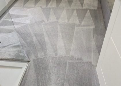 Multi-Room Carpet Refresh carpet cleaning project