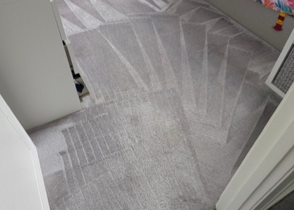 Multi-Room Carpet Refresh carpet cleaning, photo 2