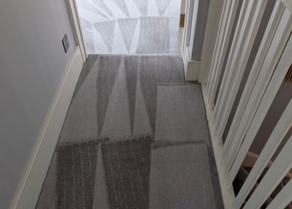 Multi-Room Carpet Refresh carpet cleaning, photo 3
