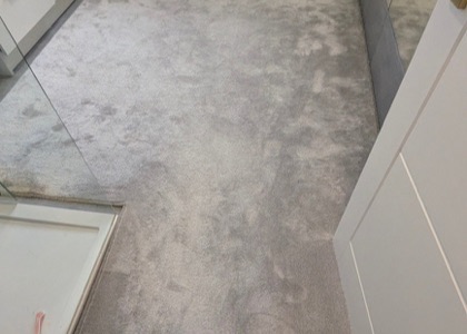 Multi-Room Carpet Refresh carpet cleaning, photo 6