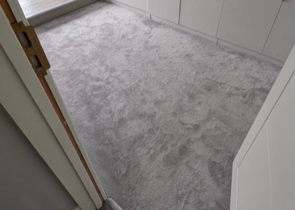 Multi-Room Carpet Refresh carpet cleaning, photo 8
