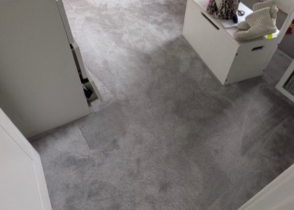 Multi-Room Carpet Refresh carpet cleaning, photo 9