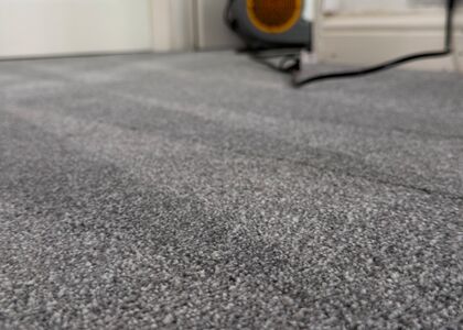 Deep-Clean & Drying Detail carpet cleaning, photo 1
