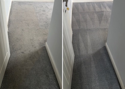 Deep-Clean & Drying Detail carpet cleaning, photo 3
