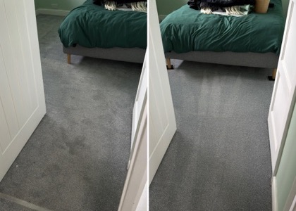 Deep-Clean & Drying Detail carpet cleaning, photo 4