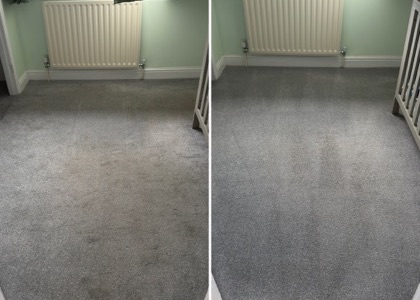 Deep-Clean & Drying Detail carpet cleaning, photo 5