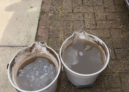 Deep-Clean & Drying Detail carpet cleaning, photo 7