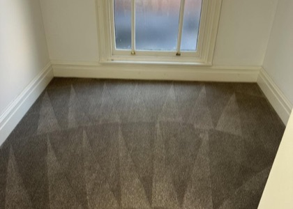 Move-Out Carpet Care carpet cleaning project