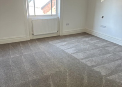 Move-Out Carpet Care carpet cleaning, photo 2