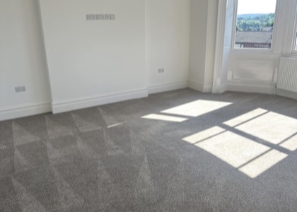 Move-Out Carpet Care carpet cleaning, photo 3