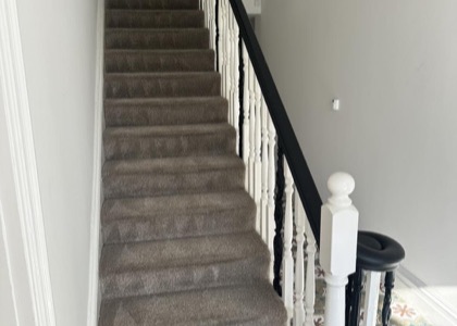Move-Out Carpet Care carpet cleaning, photo 4