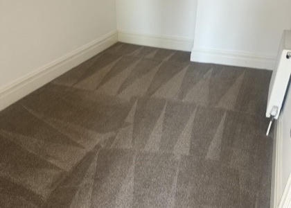 Move-Out Carpet Care carpet cleaning, photo 5