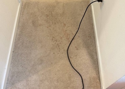 Whole-Room Carpet Cleaning carpet cleaning project